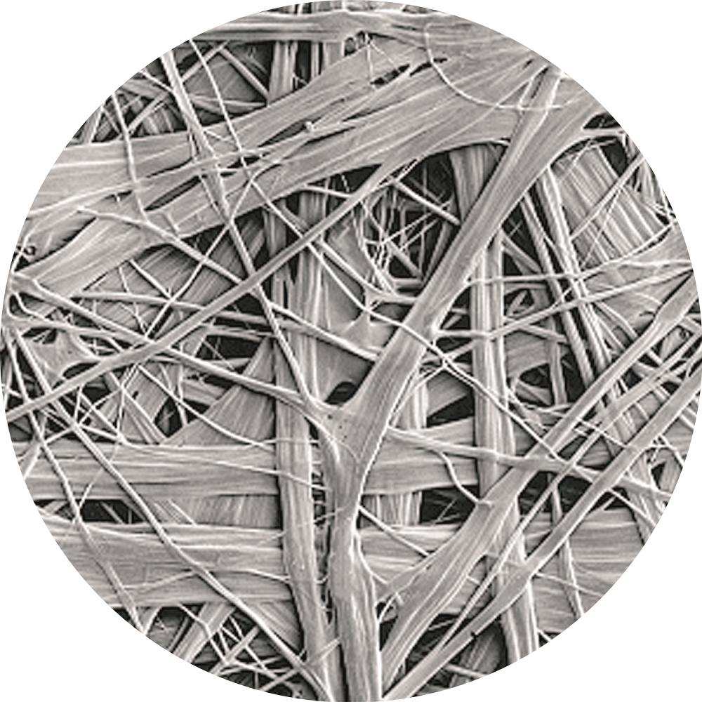 Bwin必赢亚洲·(中国集团)官方网站