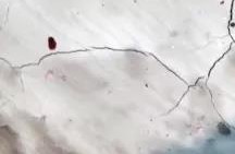 Bwin必赢亚洲·(中国集团)官方网站