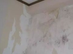 Bwin必赢亚洲·(中国集团)官方网站