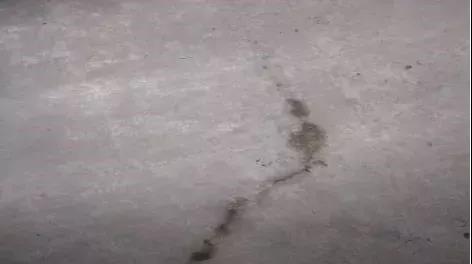 Bwin必赢亚洲·(中国集团)官方网站