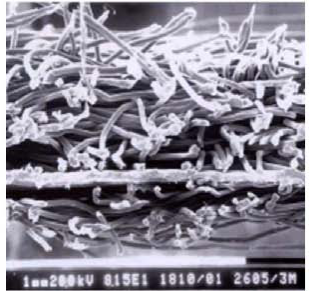 Bwin必赢亚洲·(中国集团)官方网站