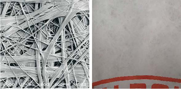 Bwin必赢亚洲·(中国集团)官方网站