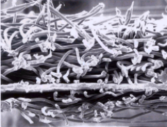 Bwin必赢亚洲·(中国集团)官方网站