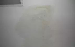 Bwin必赢亚洲·(中国集团)官方网站