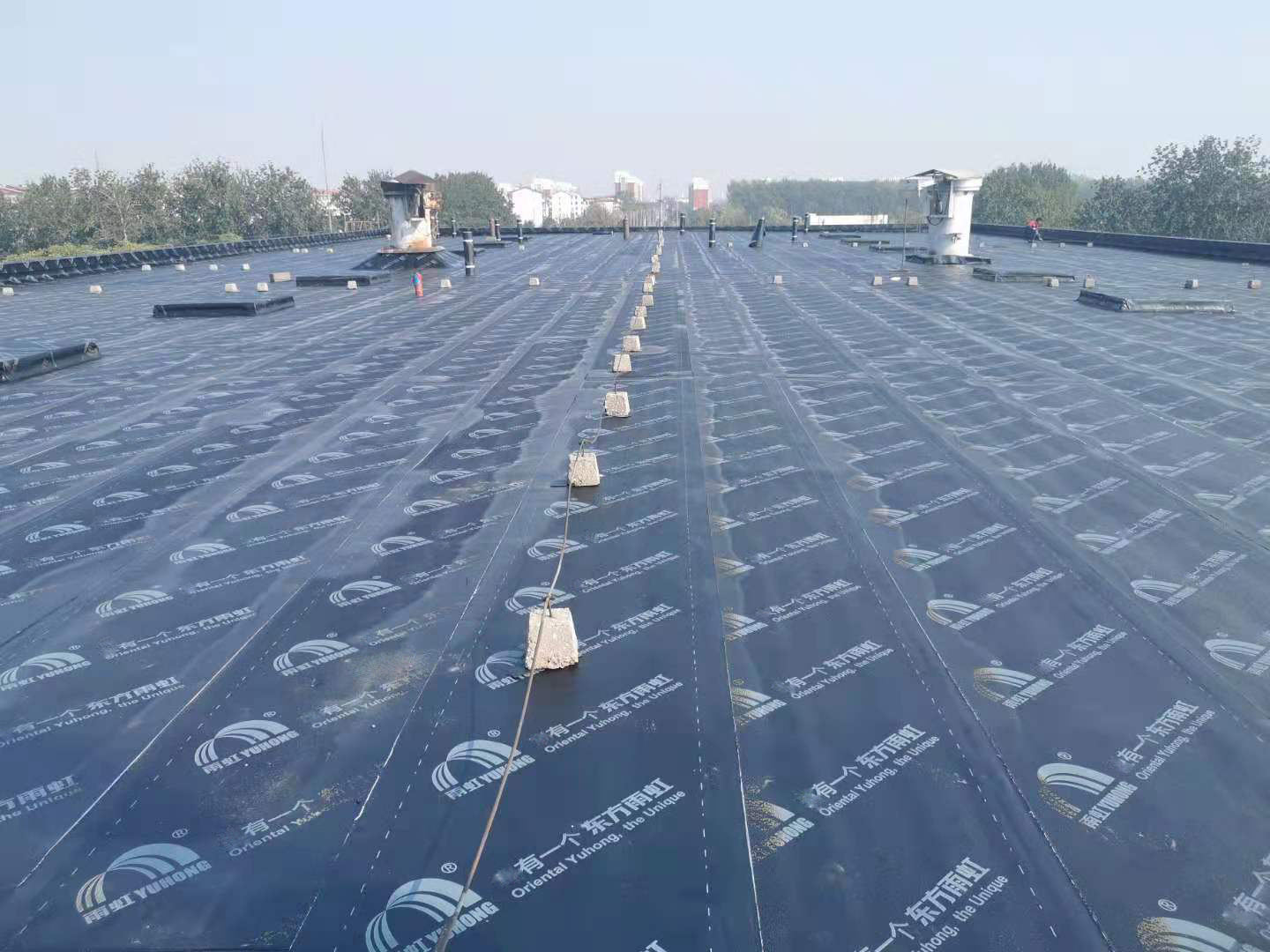 Bwin必赢亚洲·(中国集团)官方网站