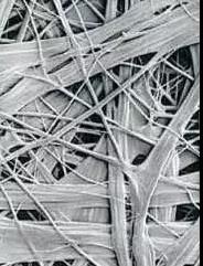 Bwin必赢亚洲·(中国集团)官方网站