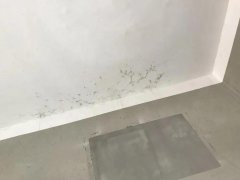 Bwin必赢亚洲·(中国集团)官方网站