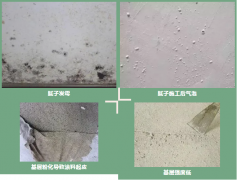 Bwin必赢亚洲·(中国集团)官方网站