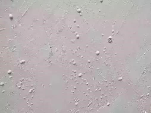 Bwin必赢亚洲·(中国集团)官方网站