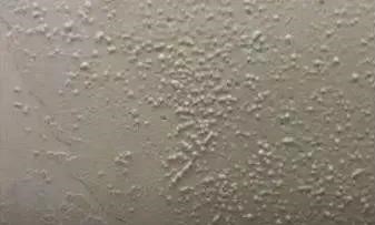 Bwin必赢亚洲·(中国集团)官方网站