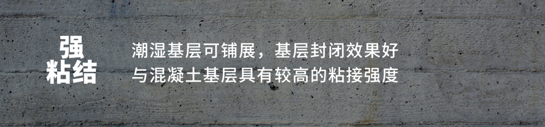 Bwin必赢亚洲·(中国集团)官方网站