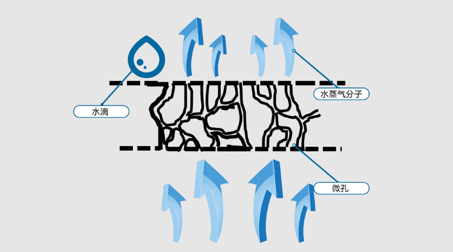 Bwin必赢亚洲·(中国集团)官方网站